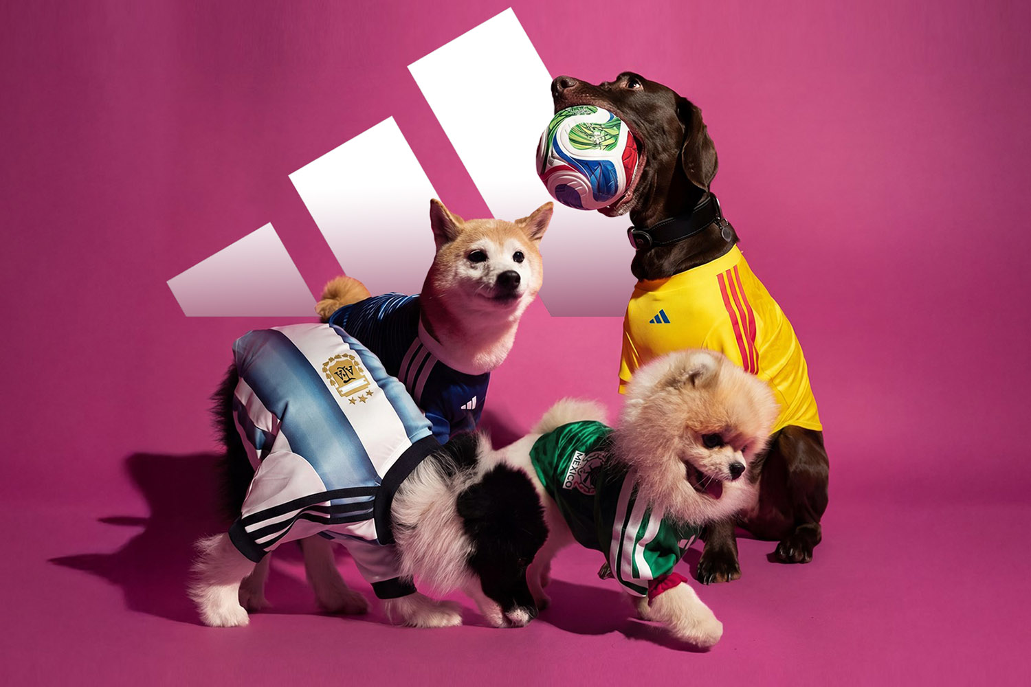 PhotoStory-adidas World Cup 2026 Pet Collection Jersey