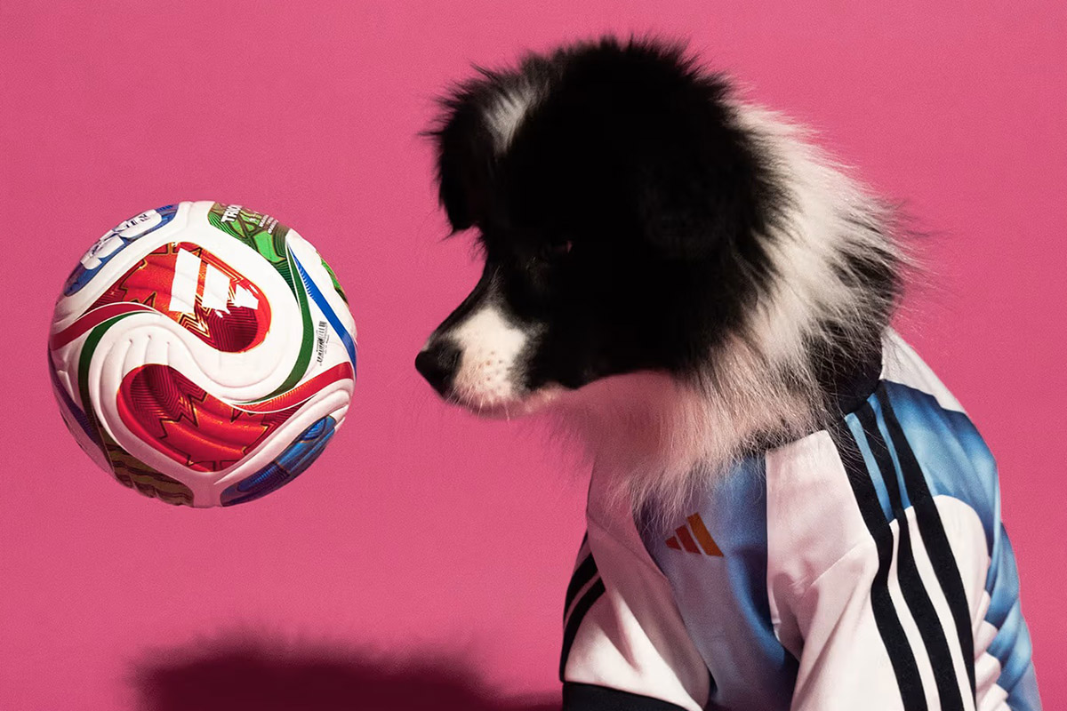 PhotoStory-adidas World Cup 2026 Pet Collection Jersey