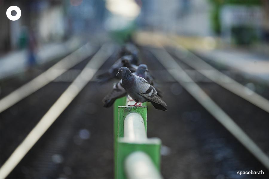 Photo_Story_Life_at_Krung_Thep_Aphiwat_Central_Terminal_Station_SPACEBAR_Photo10_62741ddba0.jpeg