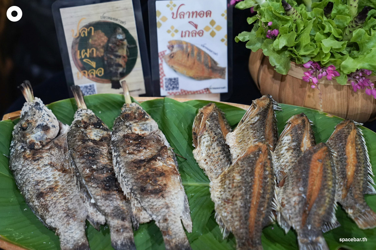 Photo_stroy_Department_of_Fisheries_Blackchin_tilapia_crisis_SPACEBAR_Photo01_4784ce049e.jpg