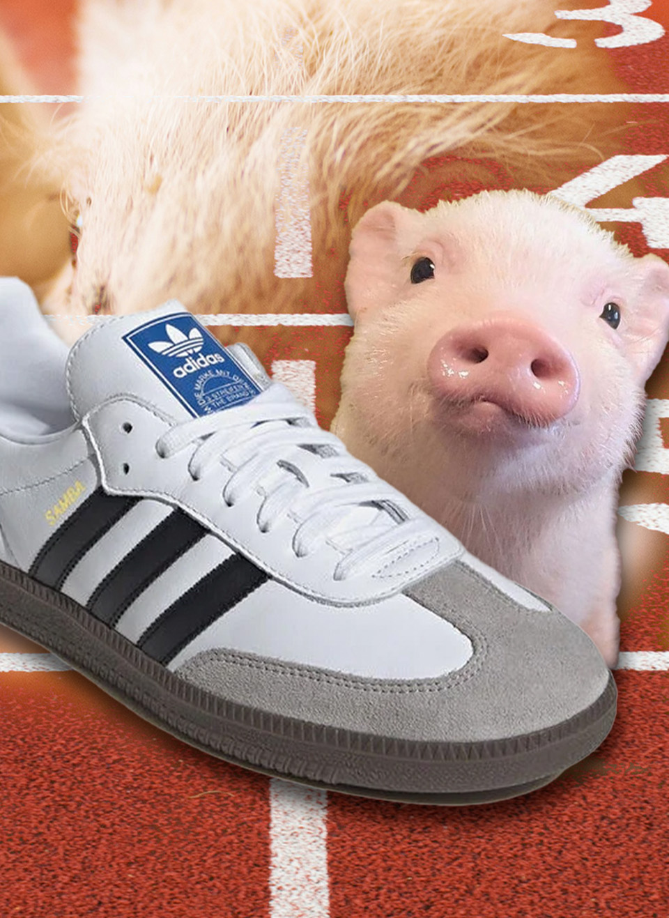 adidas  'Samba OG'