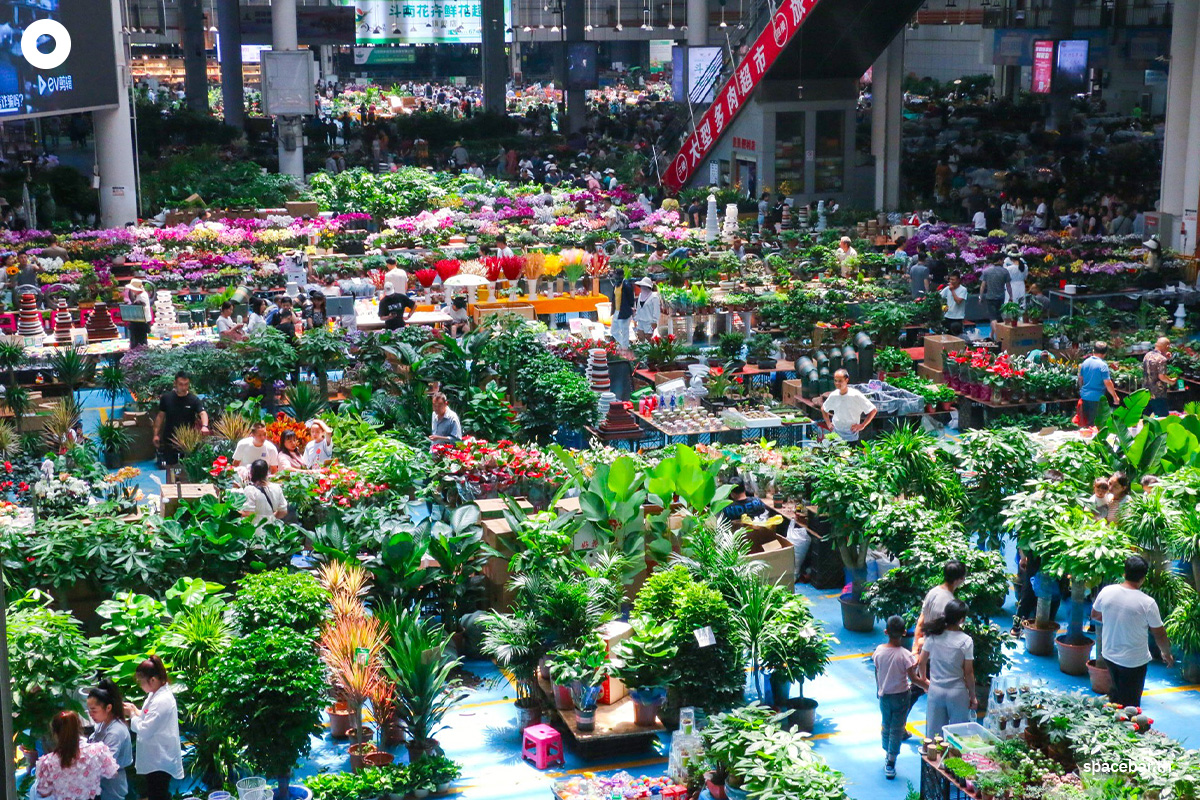 china_kunming_yunnan_dounan_flower_markets_SPACEBAR_Photo01_79172caeb3.jpeg