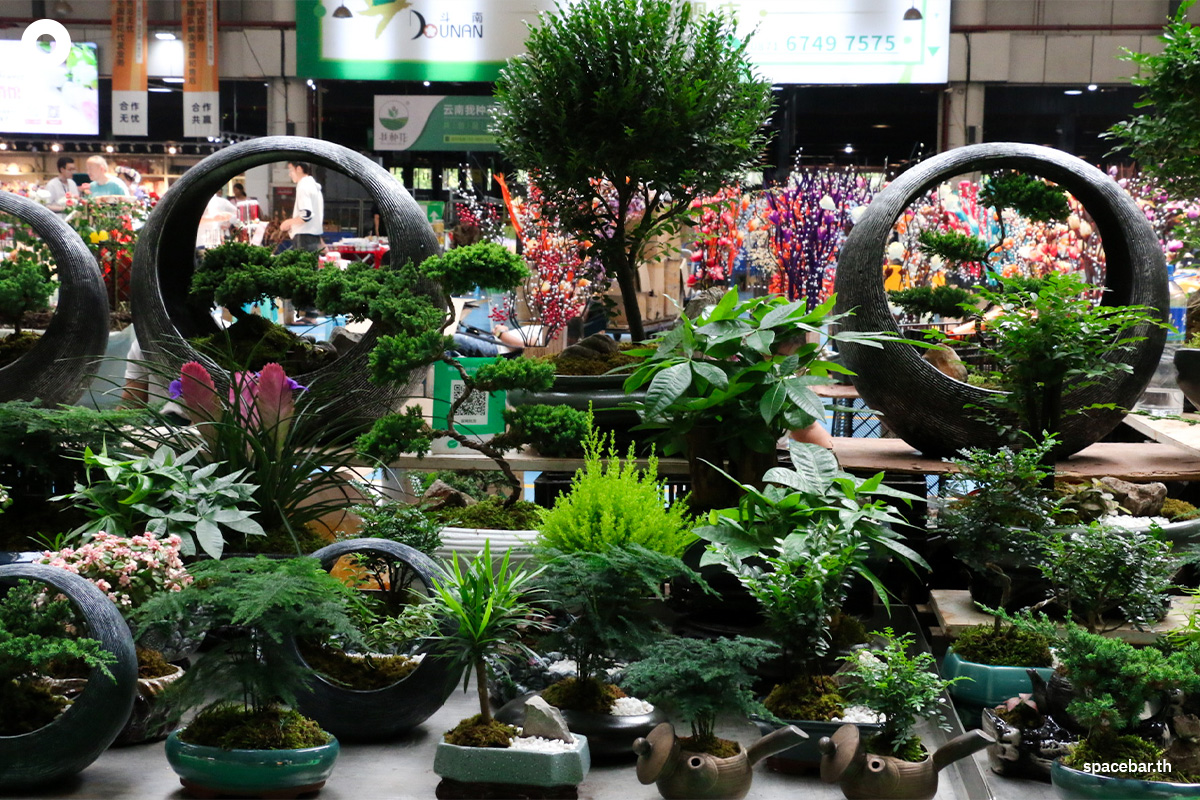 china_kunming_yunnan_dounan_flower_markets_SPACEBAR_Photo02_f2bb6bafe0.jpeg