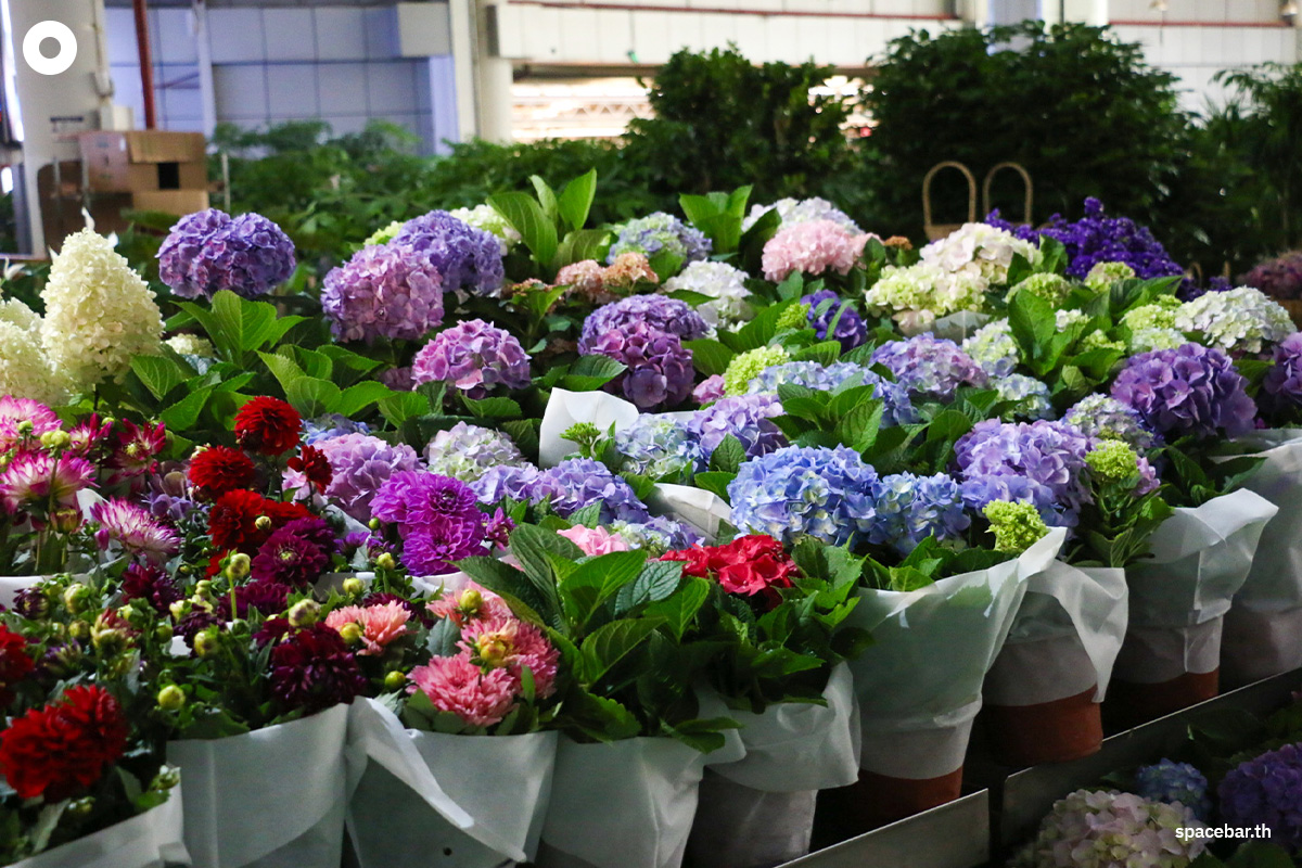 china_kunming_yunnan_dounan_flower_markets_SPACEBAR_Photo04_11f56bc252.jpeg