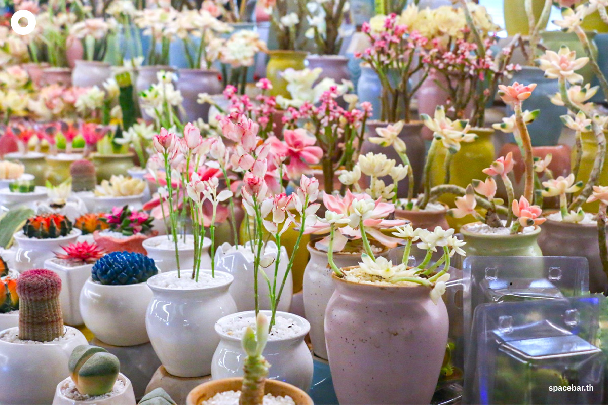 china_kunming_yunnan_dounan_flower_markets_SPACEBAR_Photo06_9bf5f9dcf5.jpeg
