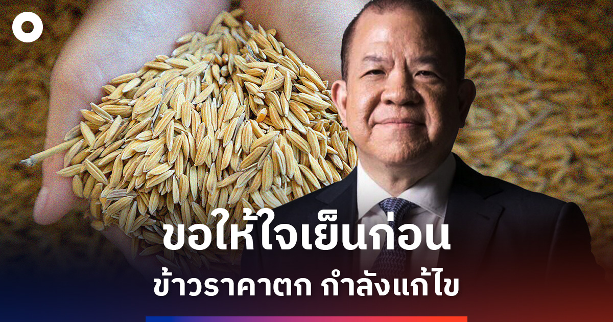 Chai Key Economic Rice ‘พิชัย’ ชี้ ข้าวราคาตก เหตุอินเดียกลับมาส่งออก