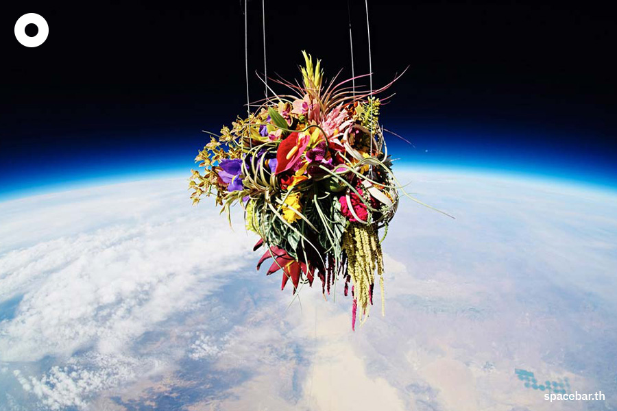 exobiotanica_project_azuma_makoto_SPACEBAR_Photo07_48f11e5755.jpeg