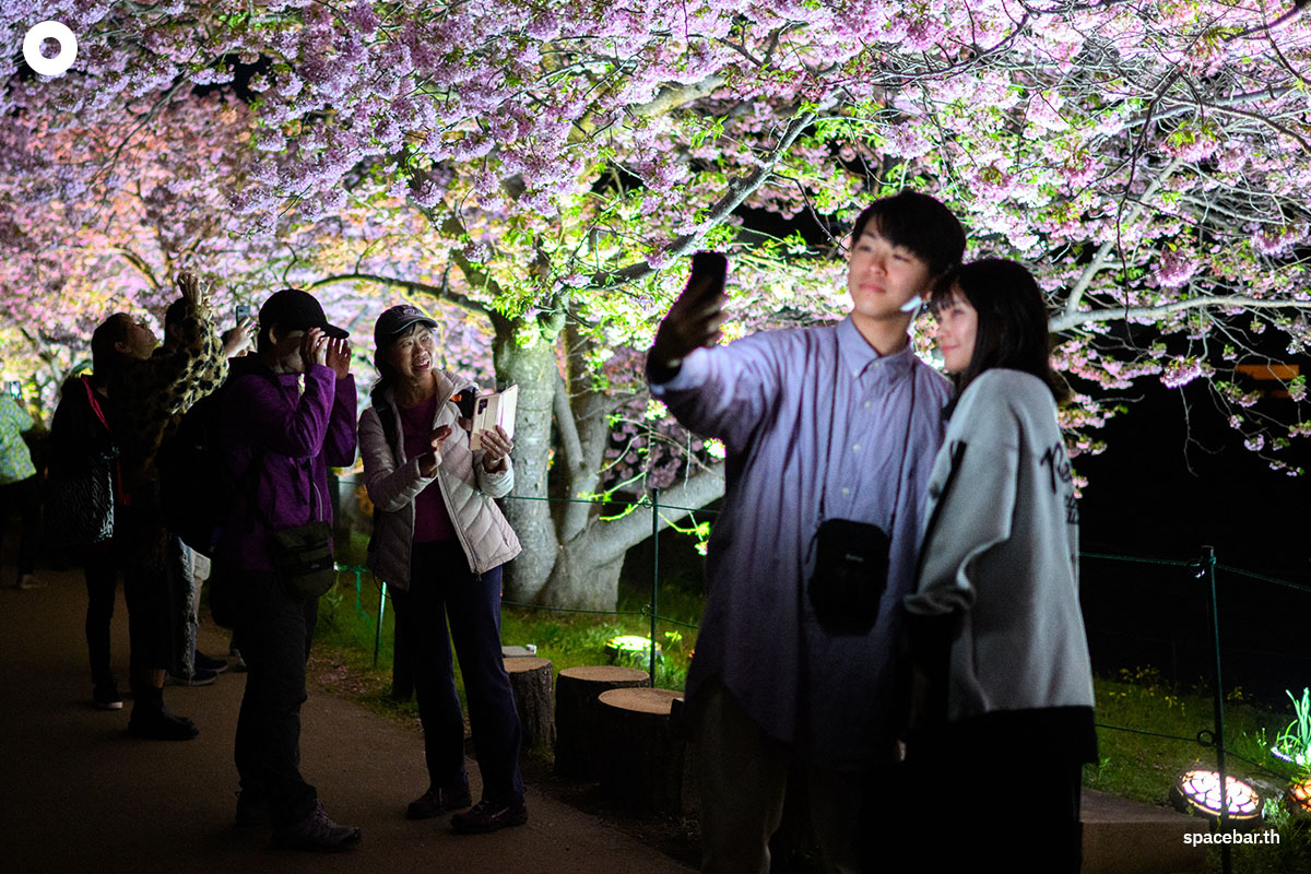 photo_story_japanese_cherry_blossom_kawazu_2024_SPACEBAR_Photo05_3bac410f7a.jpg
