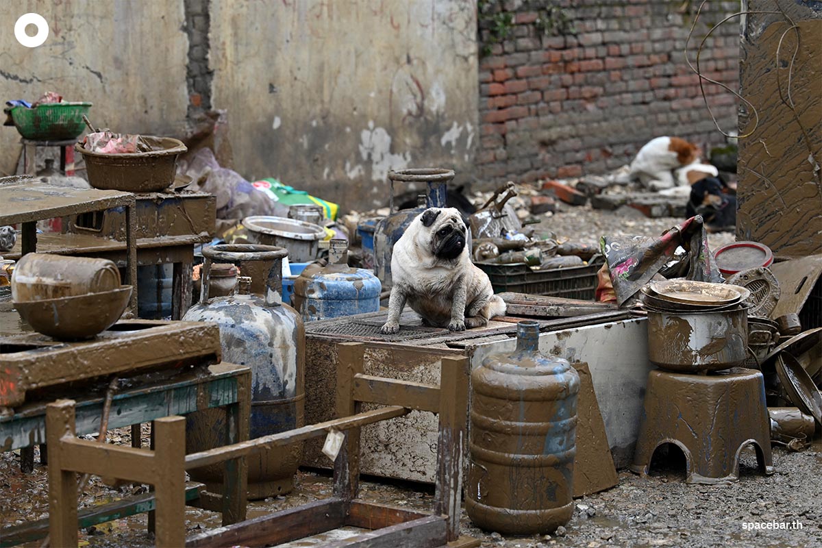 photo_story_nepal_kathmandu_flood_SPACEBAR_Photo02_9cca781e21.jpg