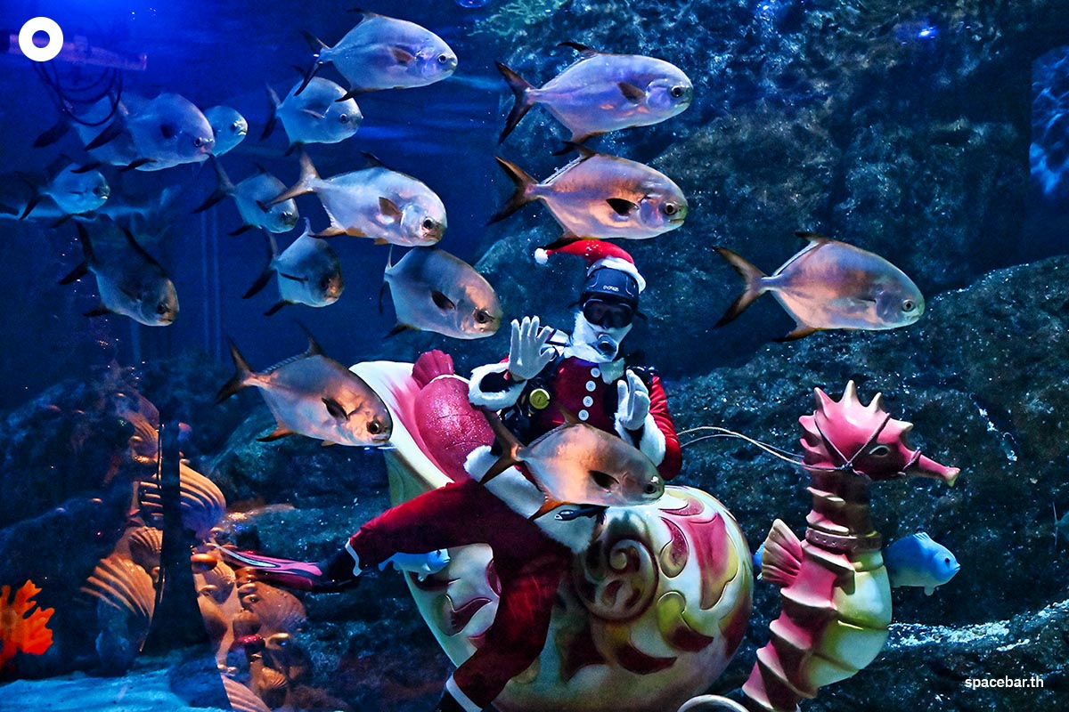 photo_story_santa_aquarium_SPACEBAR_Photo00_d6e03c8c8c.jpg