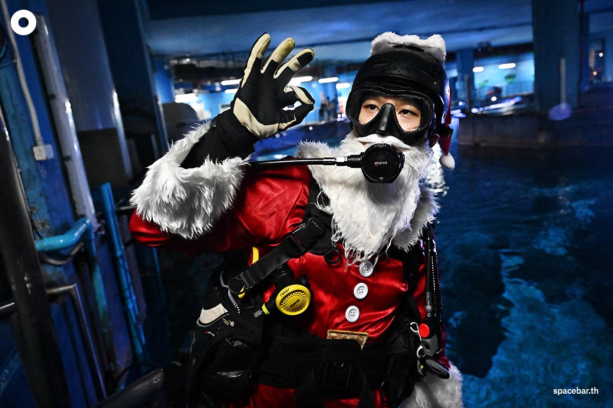 photo_story_santa_aquarium_SPACEBAR_Photo02_51b8409761.jpg