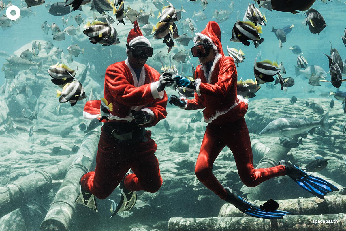 photo_story_santa_aquarium_SPACEBAR_Photo03_b3aedf8b86.jpg