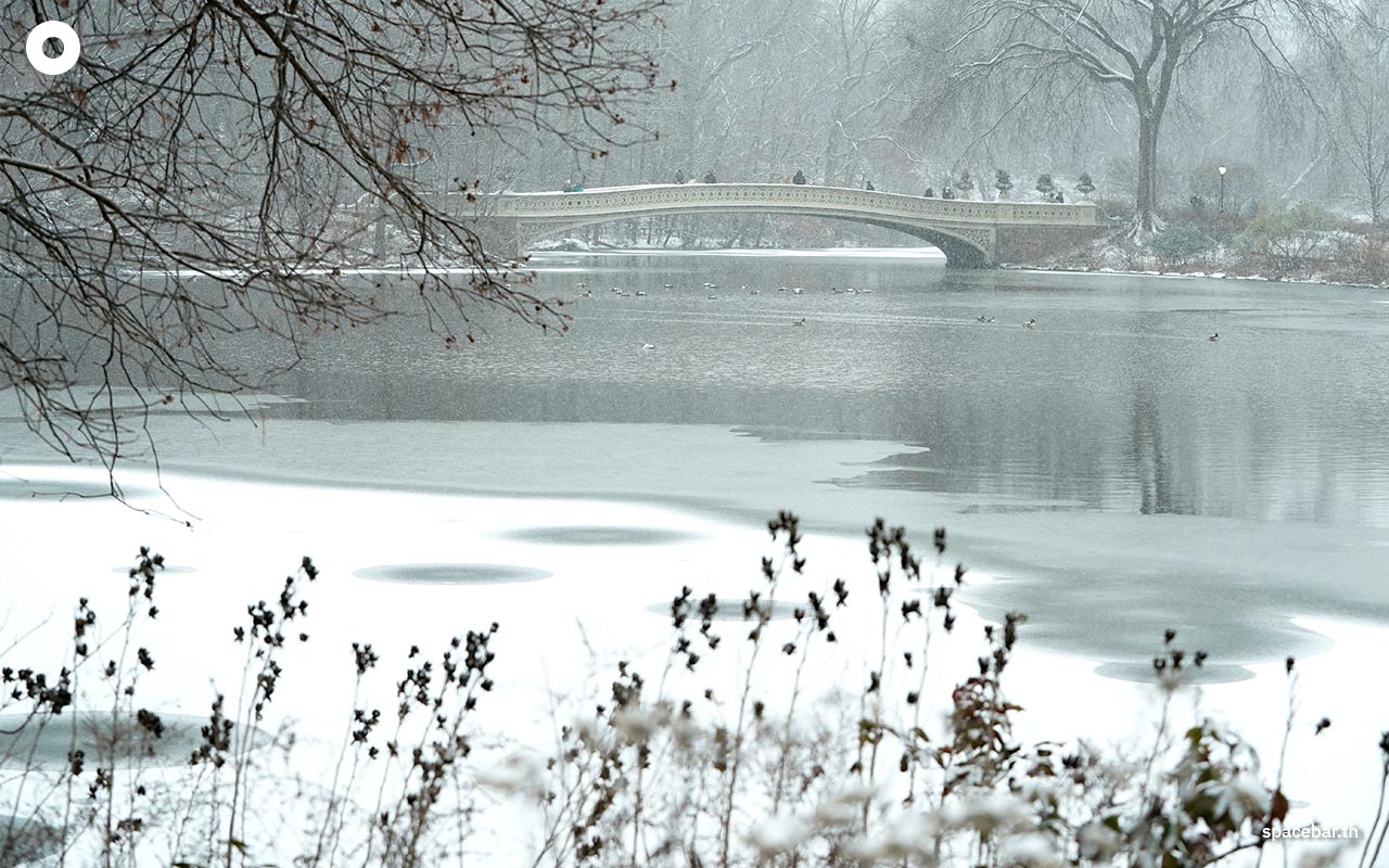 photo_story_us_winter_storm_snow_polar_vortex_SPACEBAR_Photo06_fc96605c11.jpg