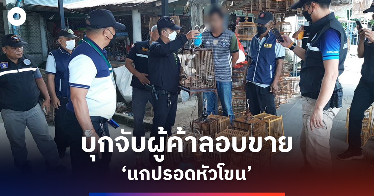 บุกจับผู้ค้าลอบขาย ‘นกปรอดหัวโขน’
