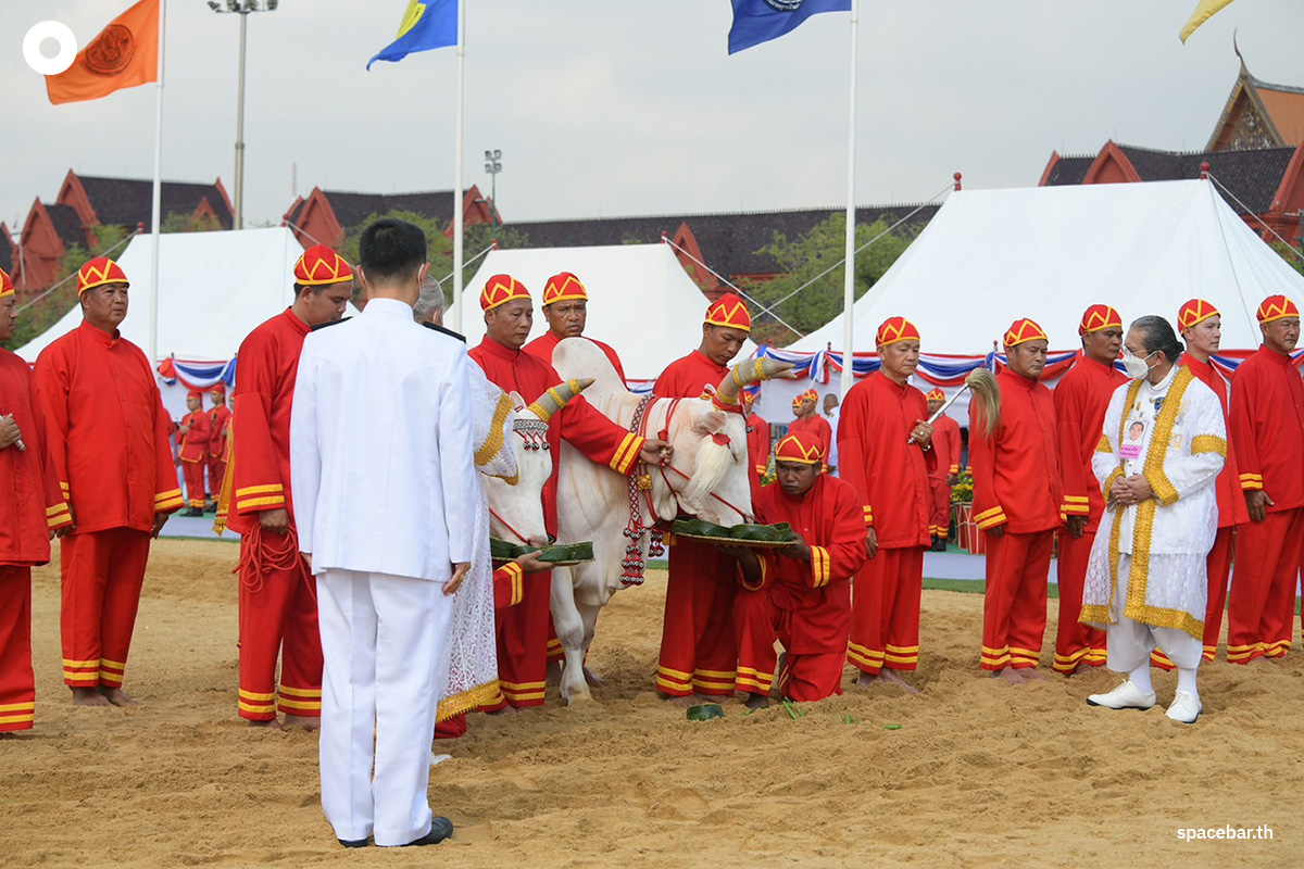 royal_plowing_ceremony_day_2024_SPACEBAR_Photo00_82edbbe171.jpg