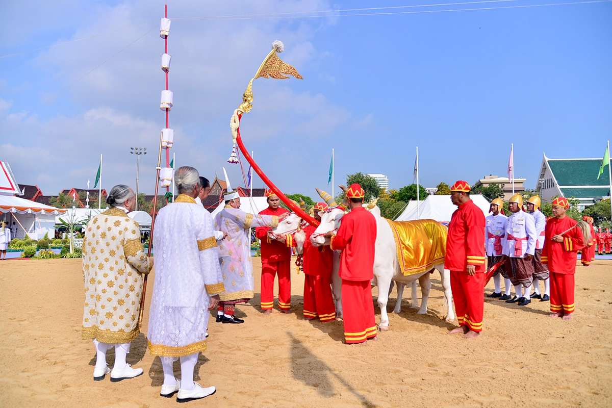 royal_plowing_ceremony_day_2024_SPACEBAR_Photo04_89f87b970d.jpg