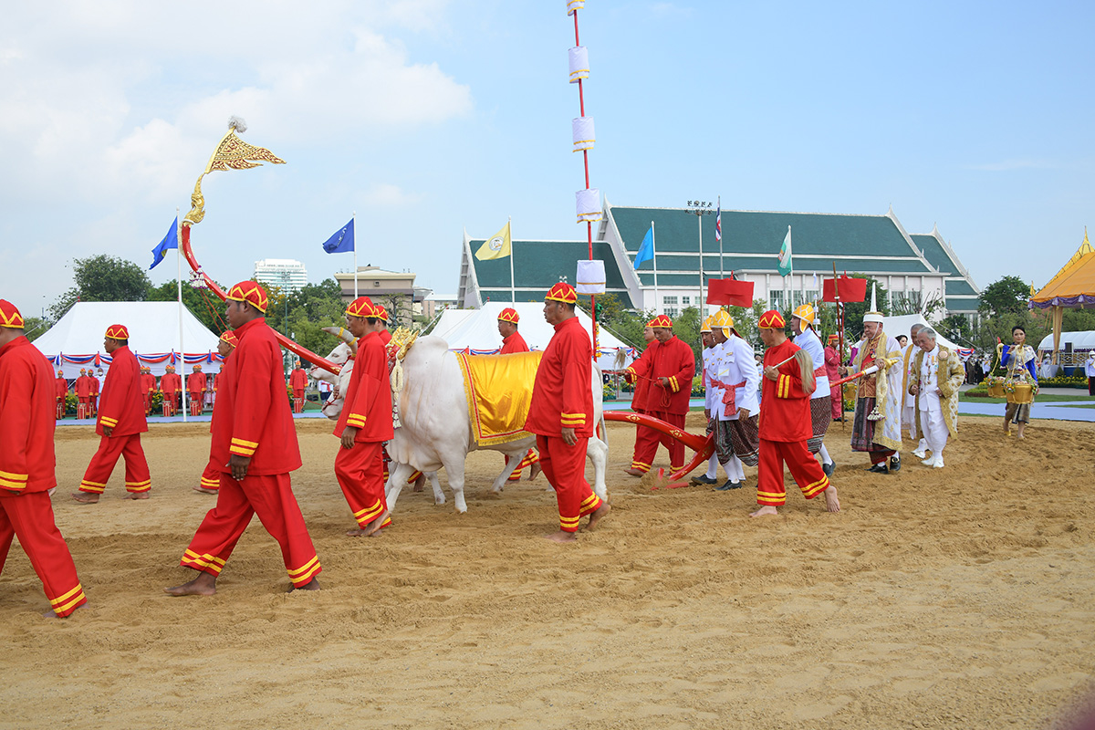 royal_plowing_ceremony_day_2024_SPACEBAR_Photo06_72a3ccf949.jpg