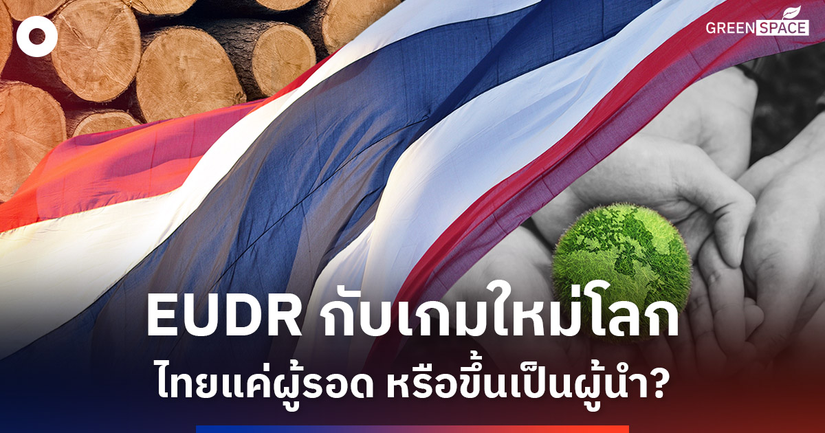 Low Risk Country ไทยกับตำแหน่ง Low Risk ในสายตา EU ก้าวใหม่ของเกษตรไทยบนเวทีโลกสีเขียว